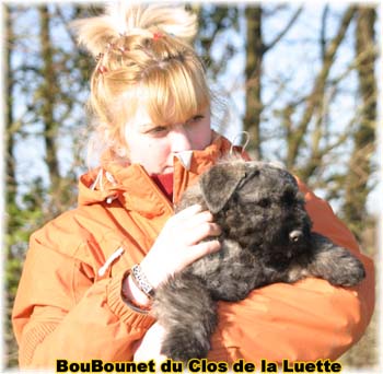 PHOTO SITE WEB ELEVAGE DU CLOS DE LA LUETTE SPECIALISE POUR LE BOUVIER DES FLANDRES ©